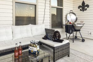 Outdoor with dog and grill